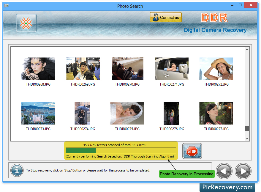 Digital Camera Recovery Software, Recover lost digital camera photos, restore deleted camera photos, recover formatted camera photographs, restore lost camera images, recover lost digital camera files, restore formatted digicam photos
