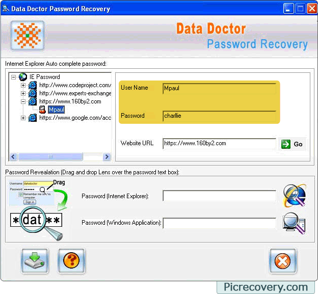 Internet Explorer Password Recovery Screenshots