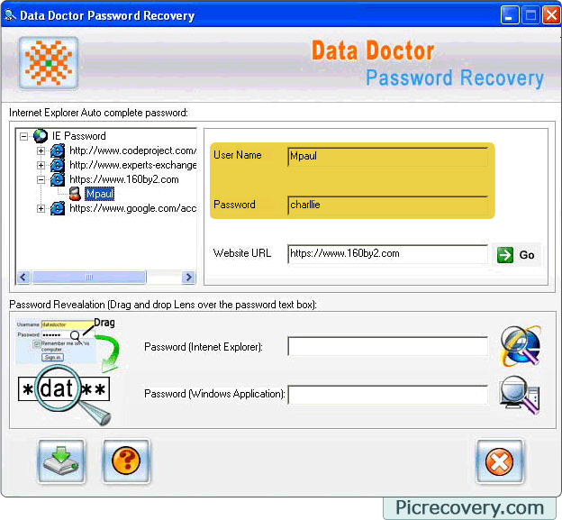 Internet Explorer Password Recovery